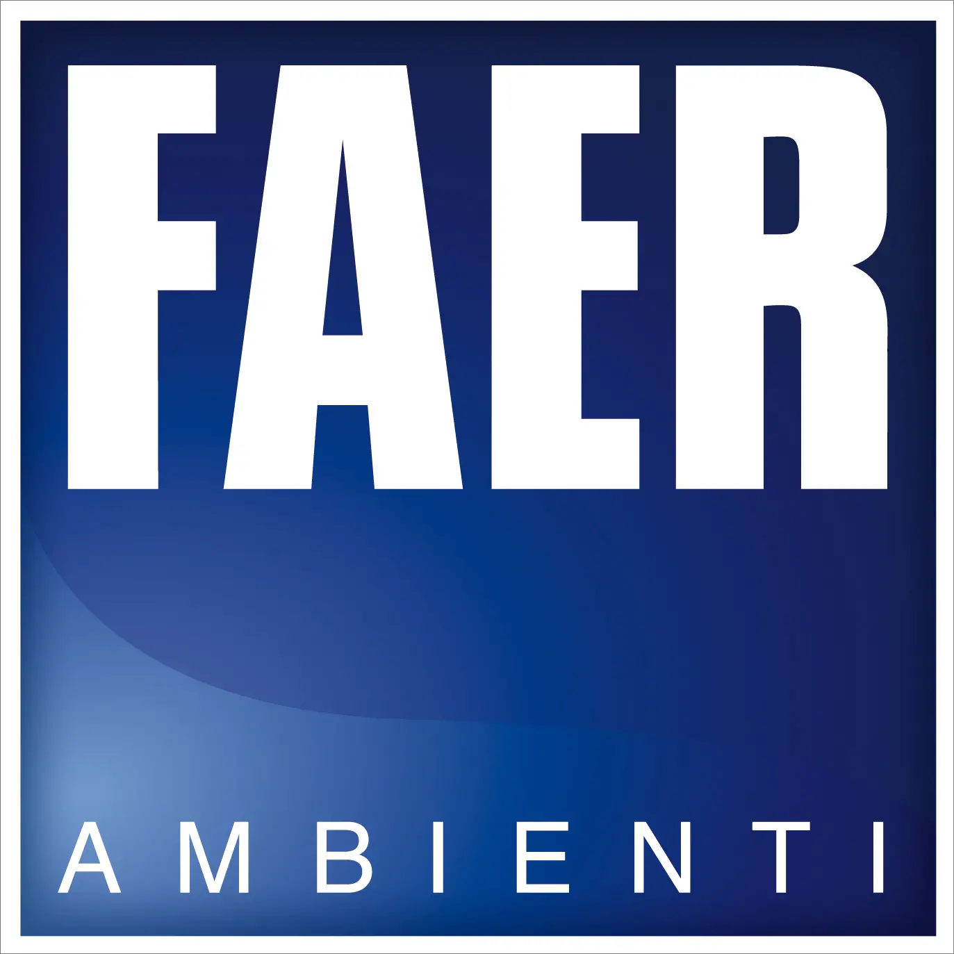 logo logo-faer-2013-ok-con-bordino-3