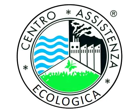 logo logo-cae